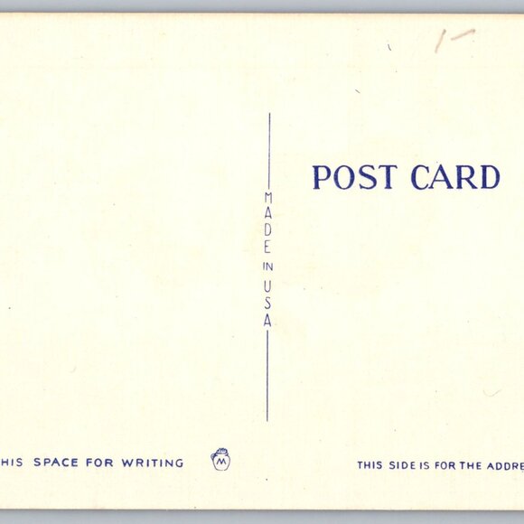 Postcards Lot of 8 Humor Vintage Posted & Unposted #915 - Picture 2 of 16